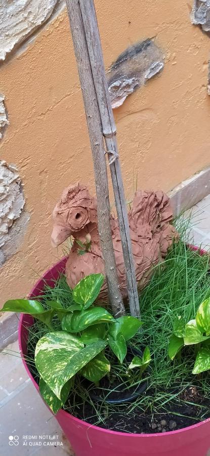 Come A Casa Syracuse Bagian luar foto